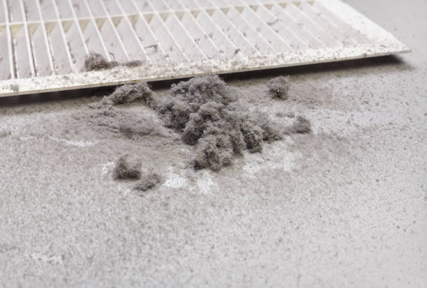 Best Air Quality Test  in Granite Hills, CA
